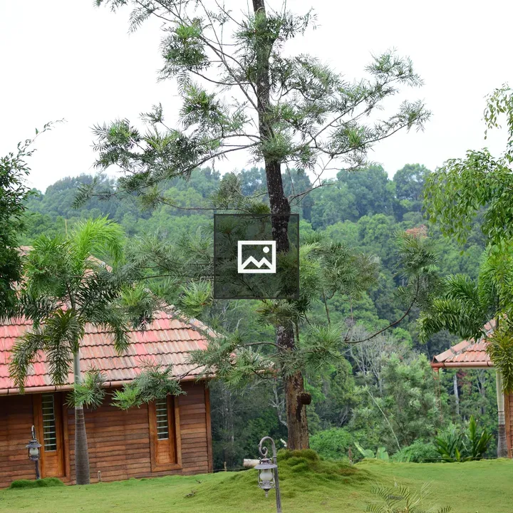 Villas in Forest