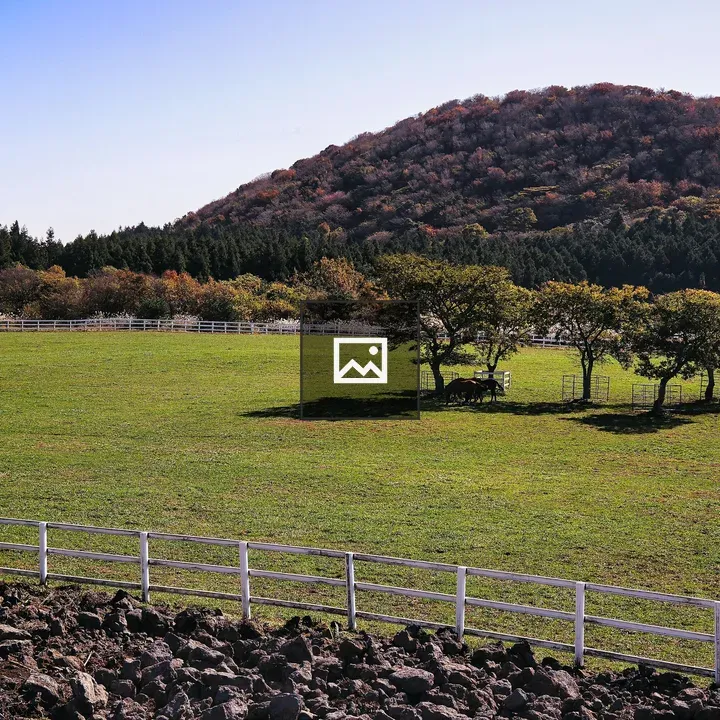 Horse in field under trees