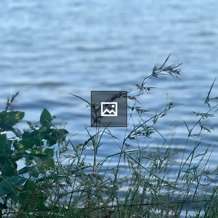 Grass with Water in Background