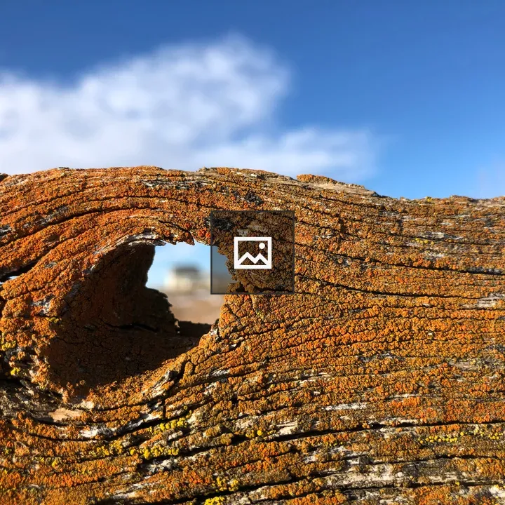 View Through Weathered Fence Hole