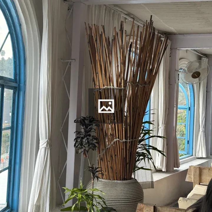 Tall dried reeds in pot