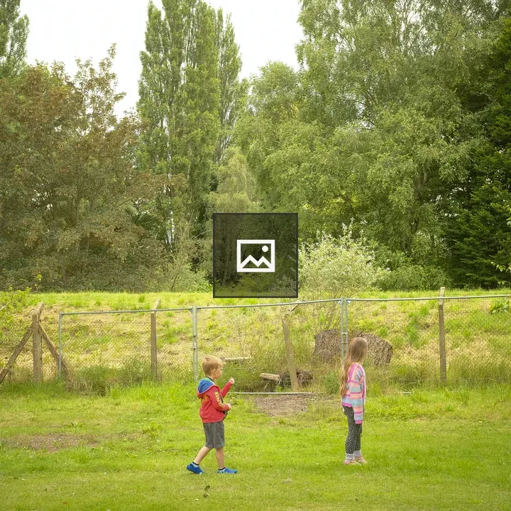 Children by Fence in Field