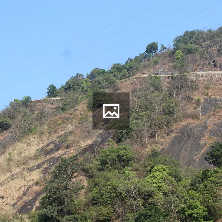 Steep hillside with rocks and vegetation