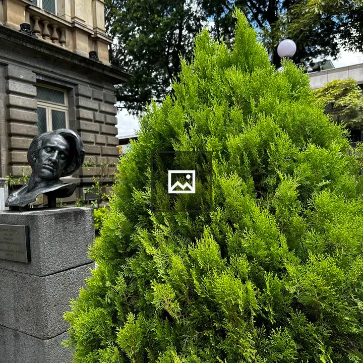 Garden at National Theater San José