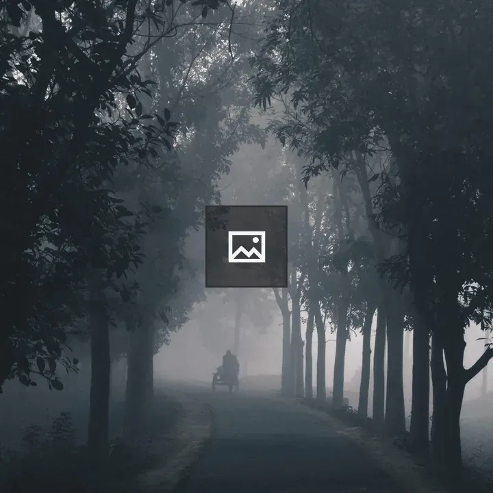 Foggy Morning Nature Path