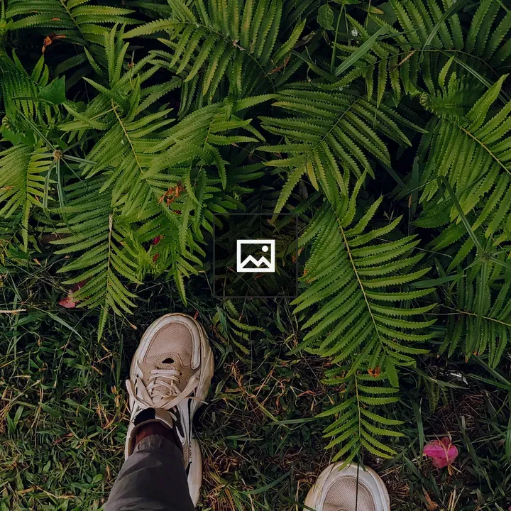 Top-down Person Amid Ferns