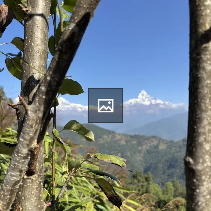 Close-up of tree trunks with mountain backdrop