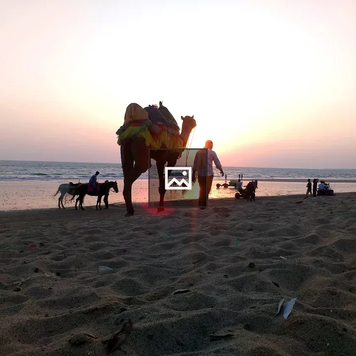 Person Walking with Camel at Sunset