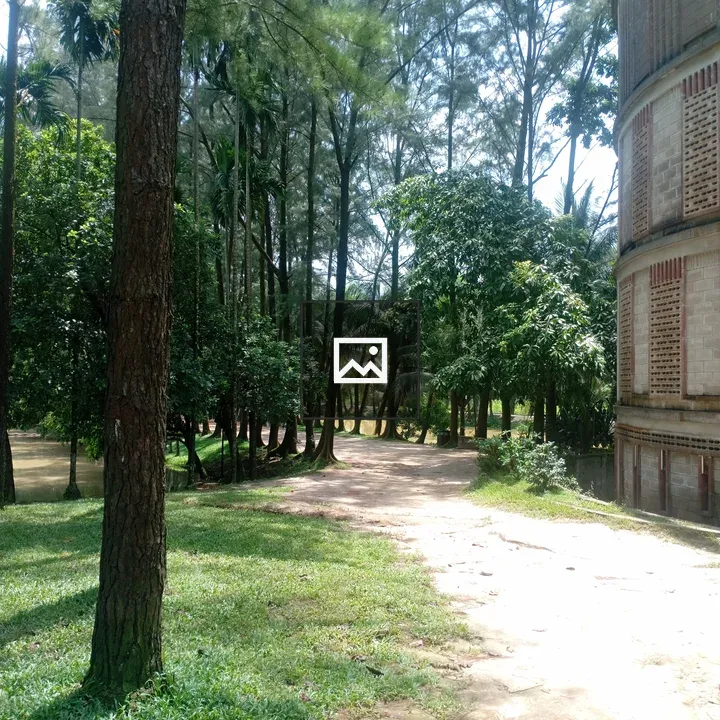 Forest scene with dirt path
