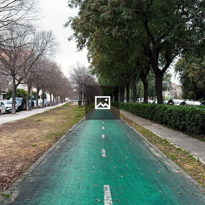 Green bike path with trees