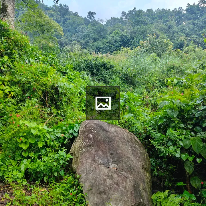 Boulder with Green Groundcover