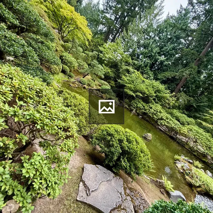 Pond at Portland Japanese Garden