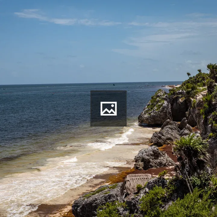 Small beach and tropical plants