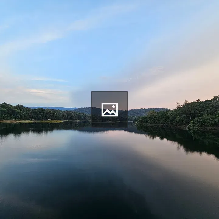 Reservoir View with Green Forest