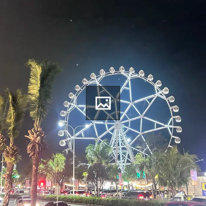 Ferris wheel at night with palm trees