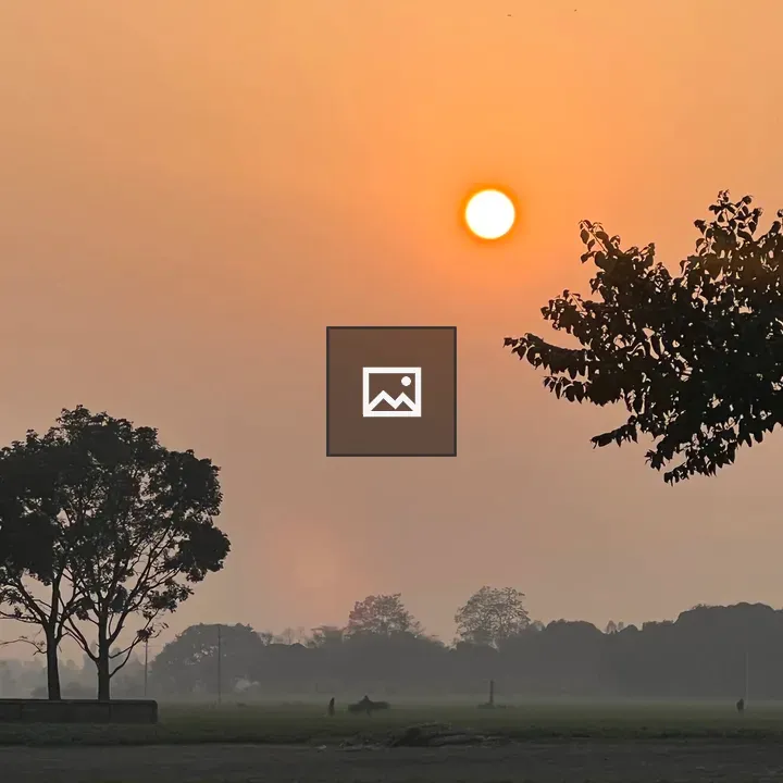 Sunset Branch and Sky