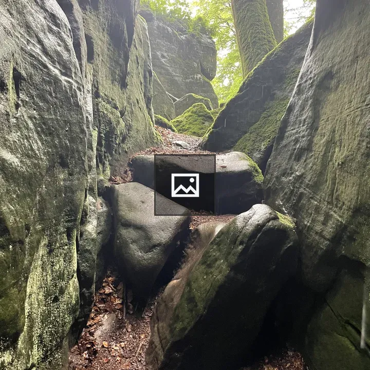 Rocky forest trail