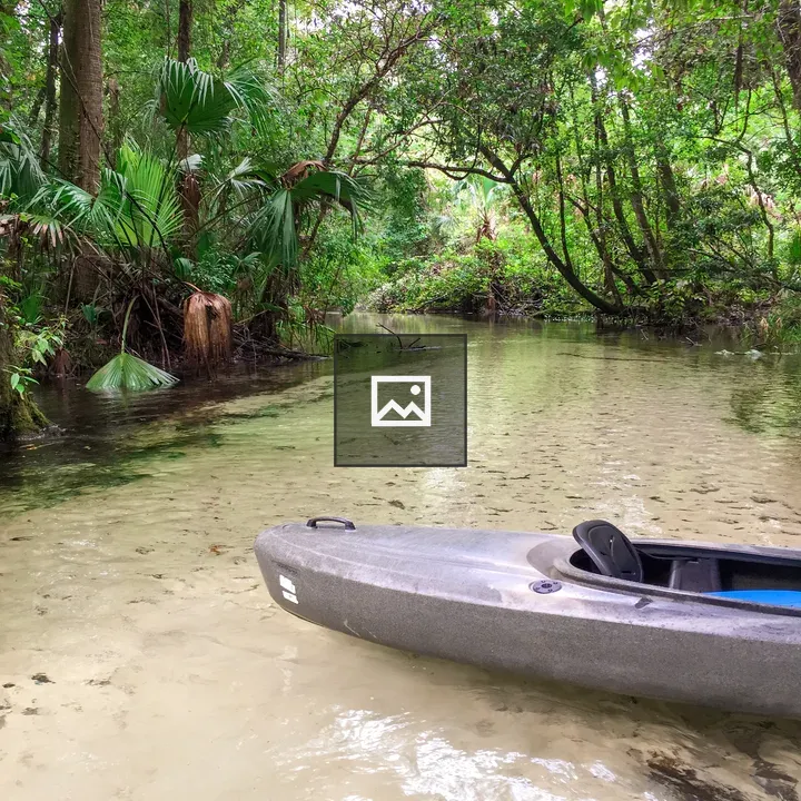 Kayak in a Creek Forest