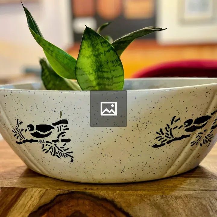 Succulent in Ceramic Pot