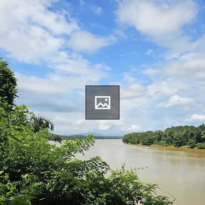 Chaliyar River Scene