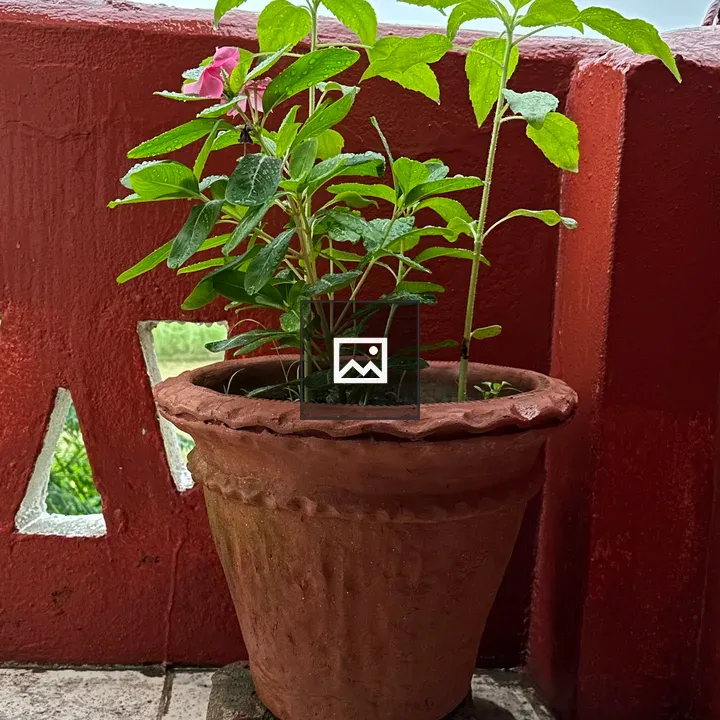 Flower With Pot