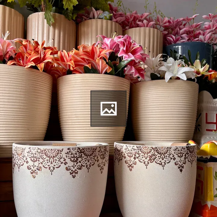 Decorative Pots with Flowers