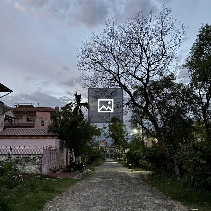 Quiet residential street at dusk