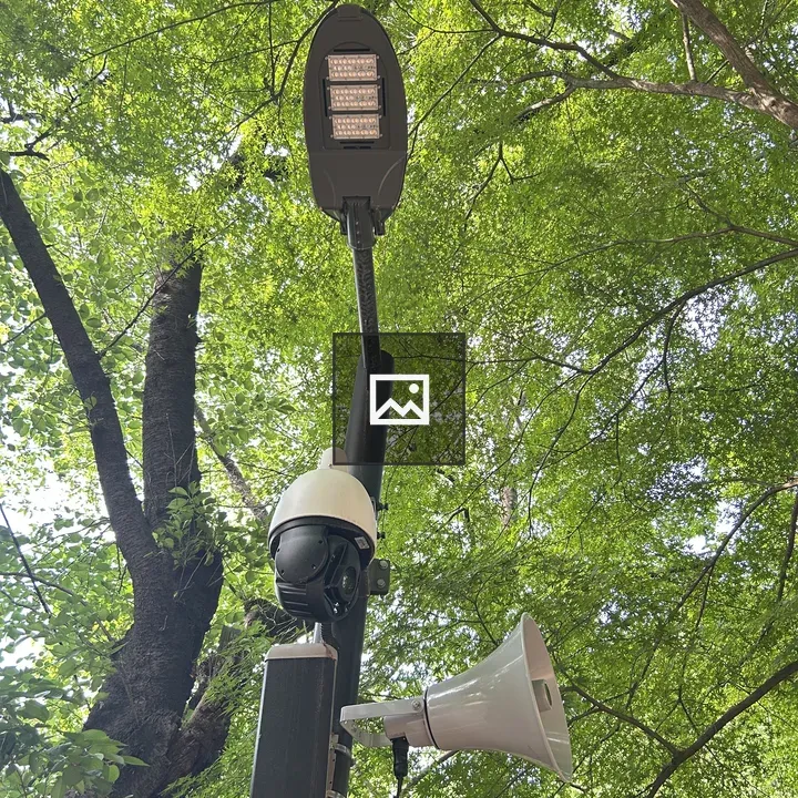 Security camera and loudspeaker on pole