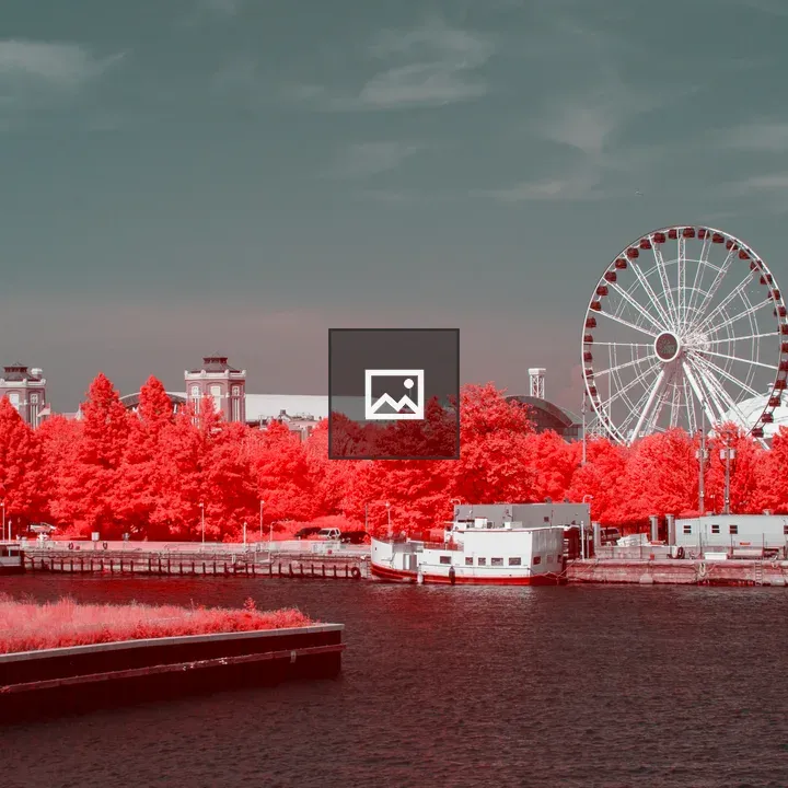 Ferris Wheel Behind Red Trees