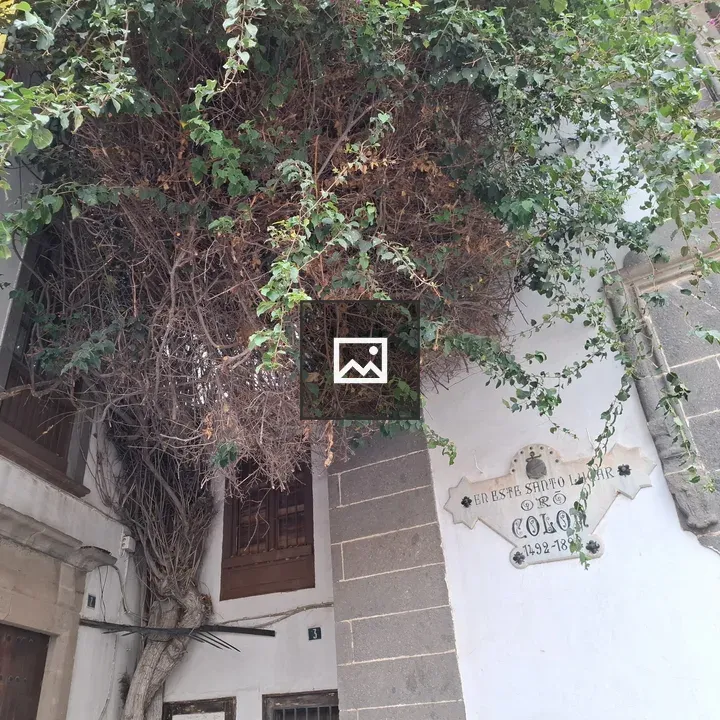 Historical building with ivy and tree