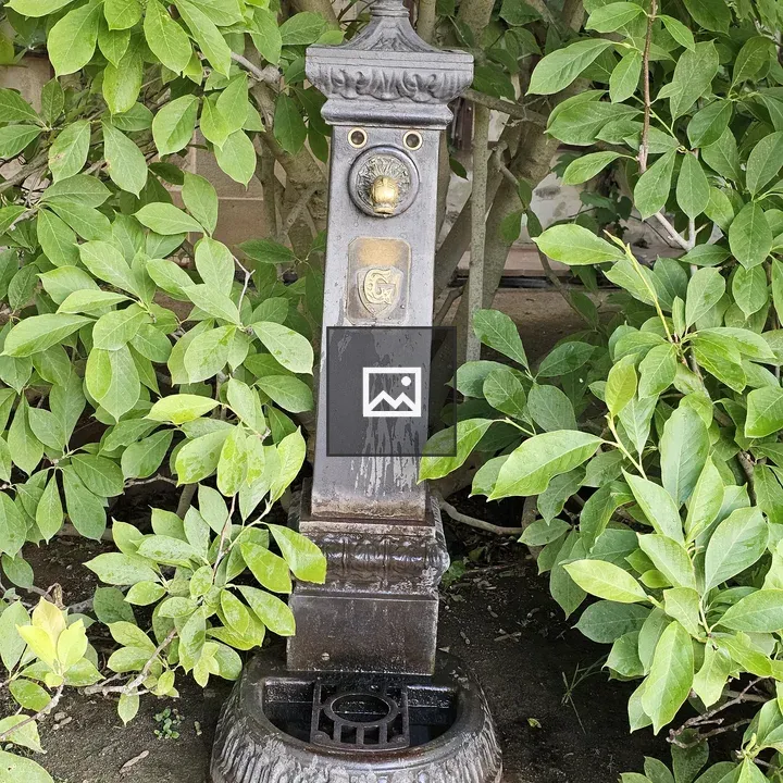 Water tap with automatic censoring
