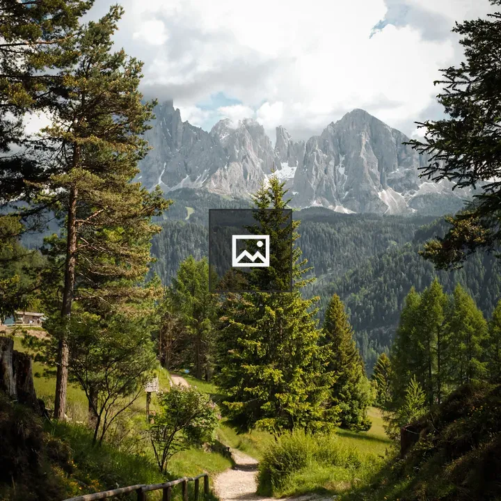 Forest Footpath with Mountains