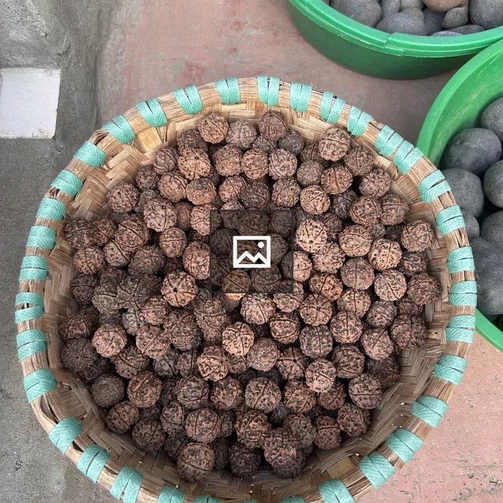 Rudraksha seeds in wicker basket