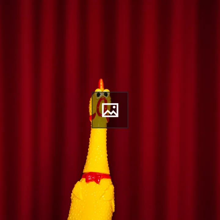 Rubber chicken in front of a curtain