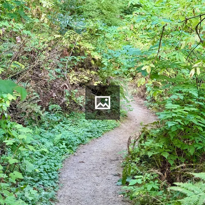 Forest Path at Hoyt Arboretum