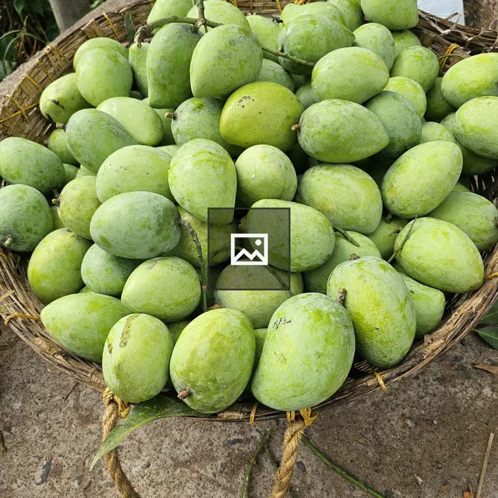 Green Priyoor Mango Basket