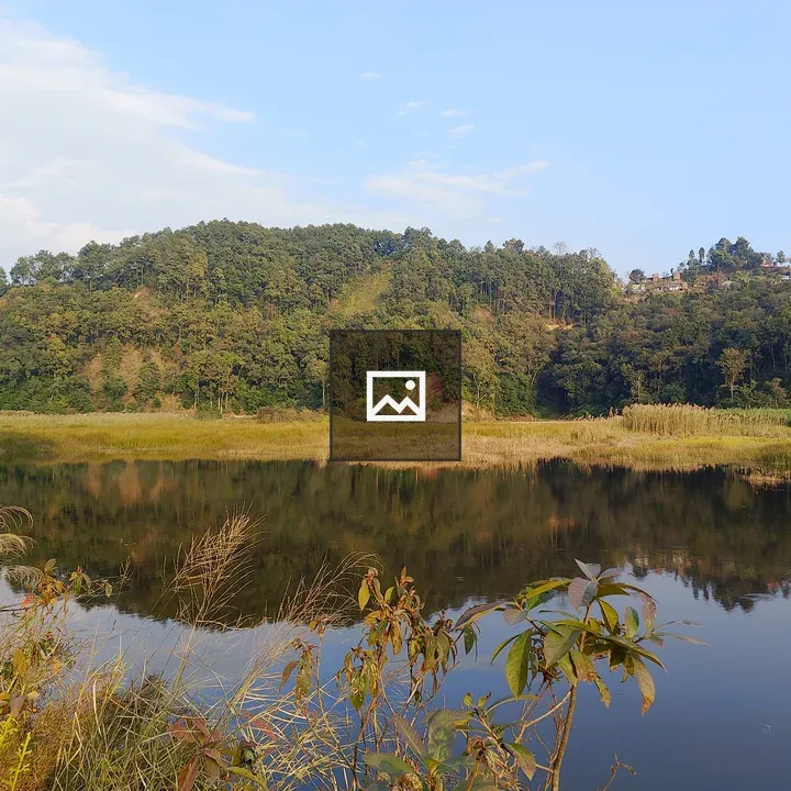 Tranquil Water Landscape