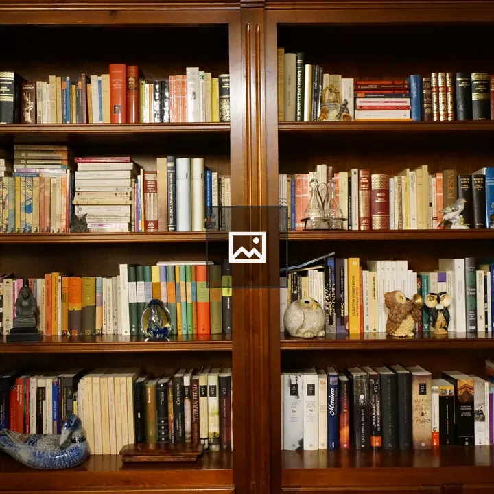Wooden bookcase full of books