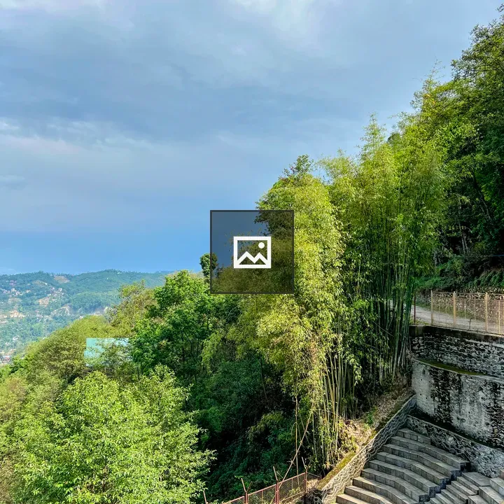 Stone staircase on terraced hillside