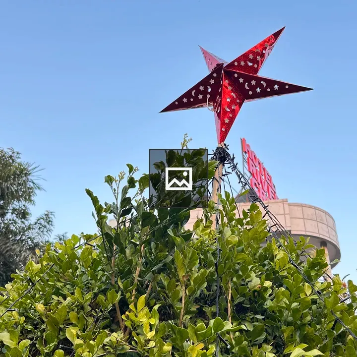 Red star decoration on shrub