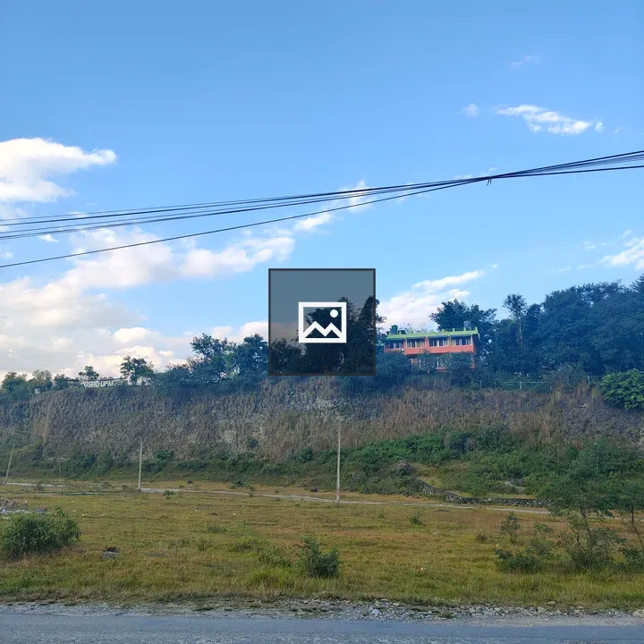 Grassy landscape with road