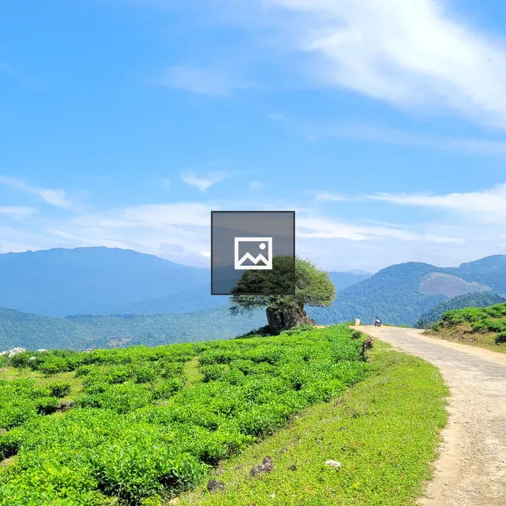Road Through Mountain Vista