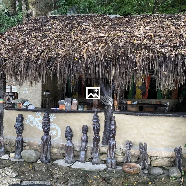 Thatched-roof structure with wooden counter