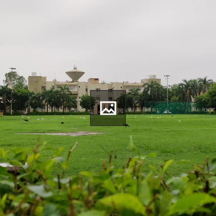 Green lawn after rain with birds