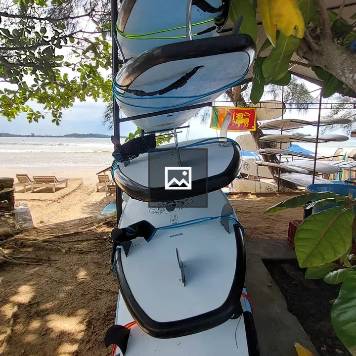 Surfboards on a Beach Under a Tree