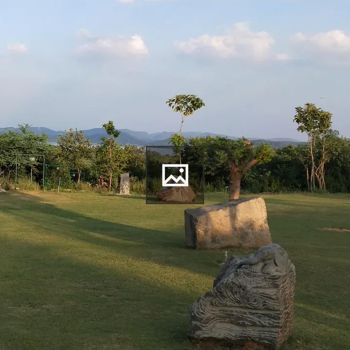 Grassy field with stones and trees