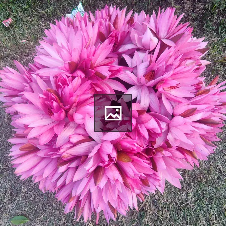 Pink flower circle bouquet