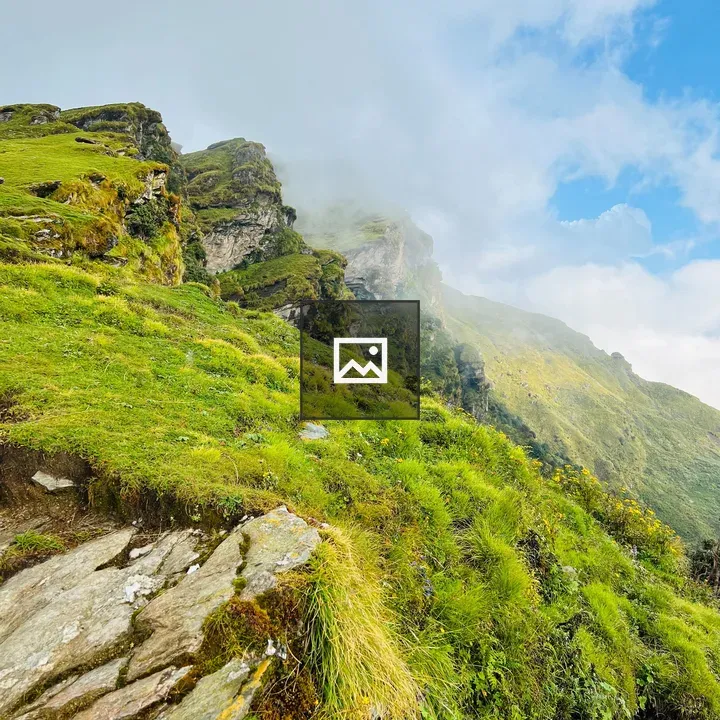 Green hillside with rocks and wildflowers