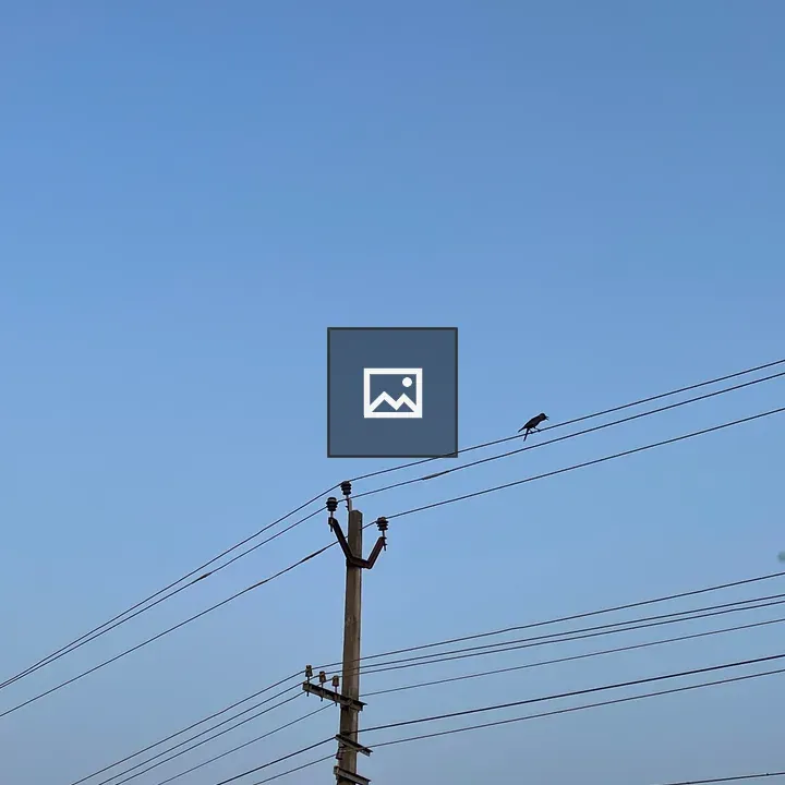 Electric Post with Bird