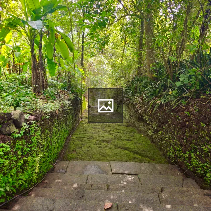 Village path with moss and trees